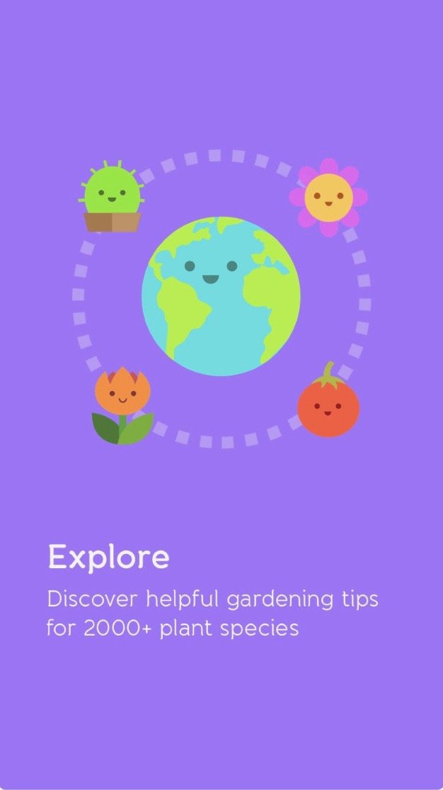Gardenia 2.JPG