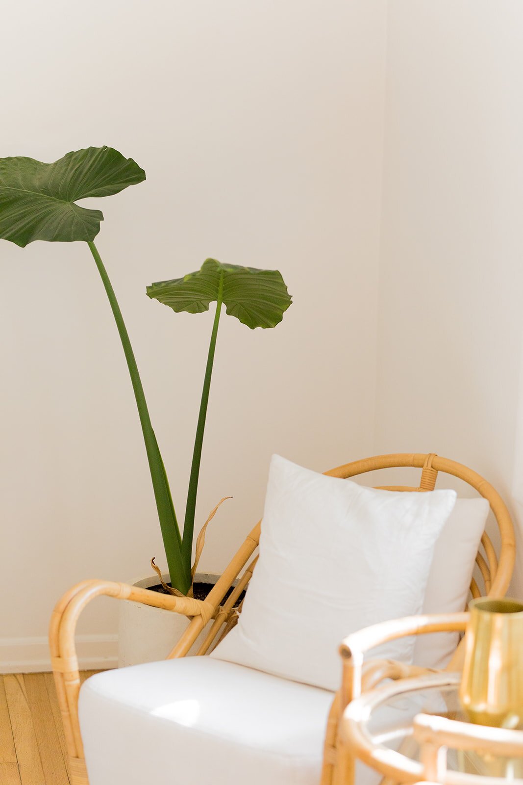How To Manage Sentimental Clutter