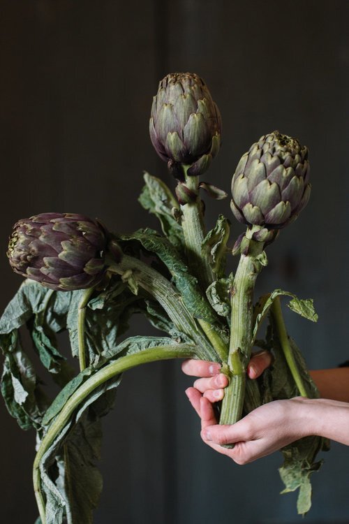 15 Vegan &amp; Vegetarian Cookbooks That Belong In Every Kitchen