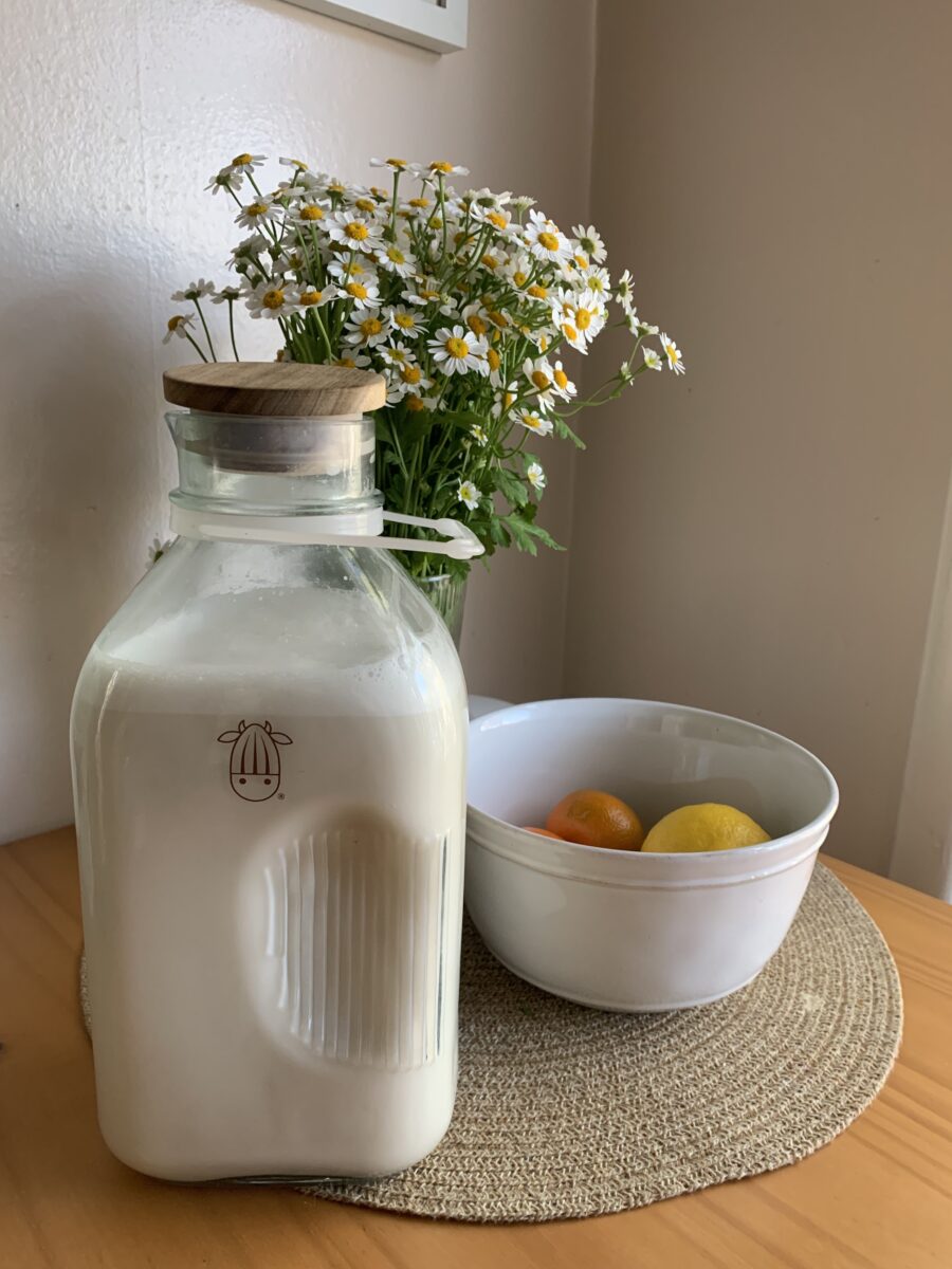 almond-cow-review-5