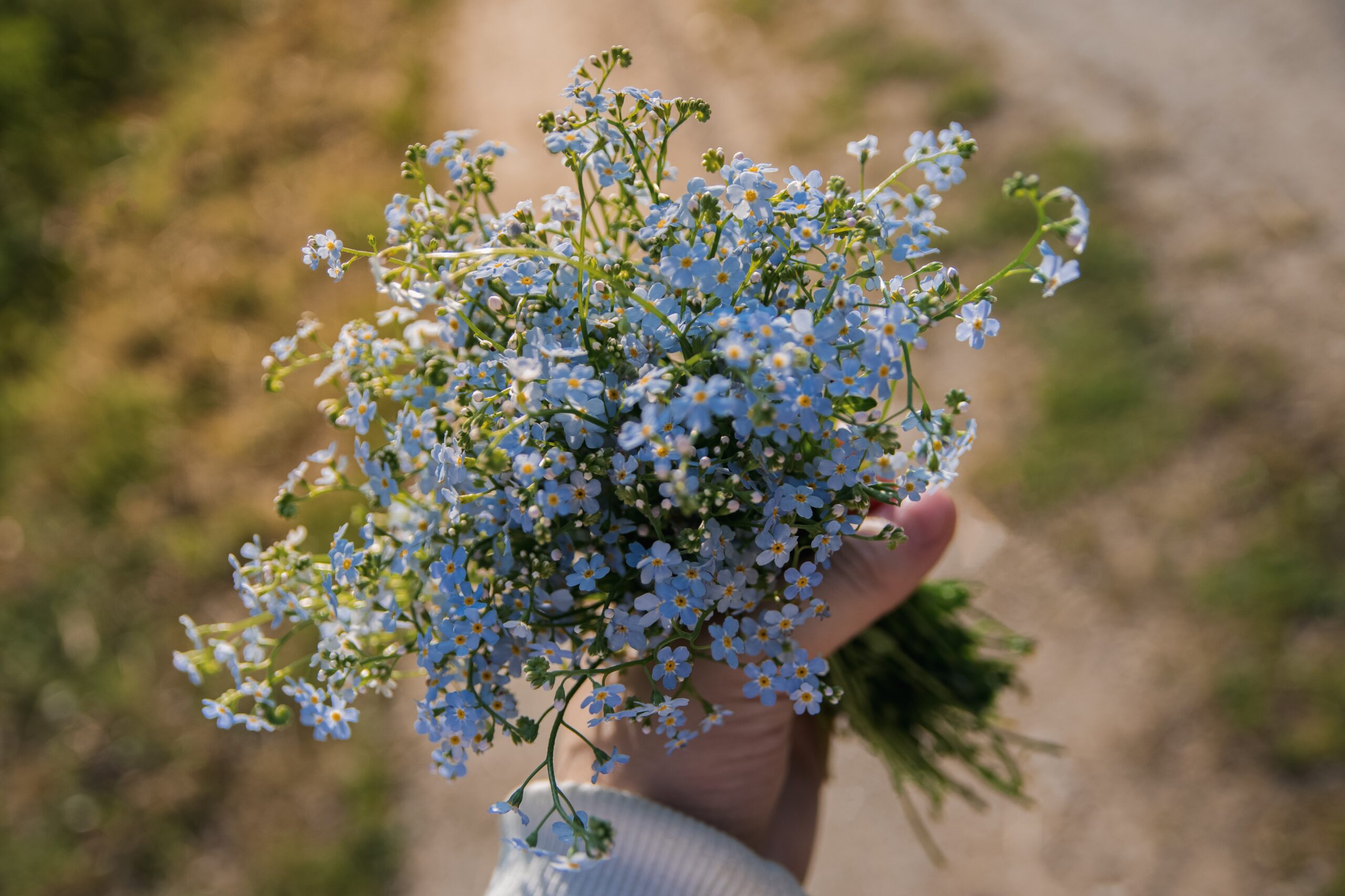 julia-zyablova-SySGB7Exnys-unsplash