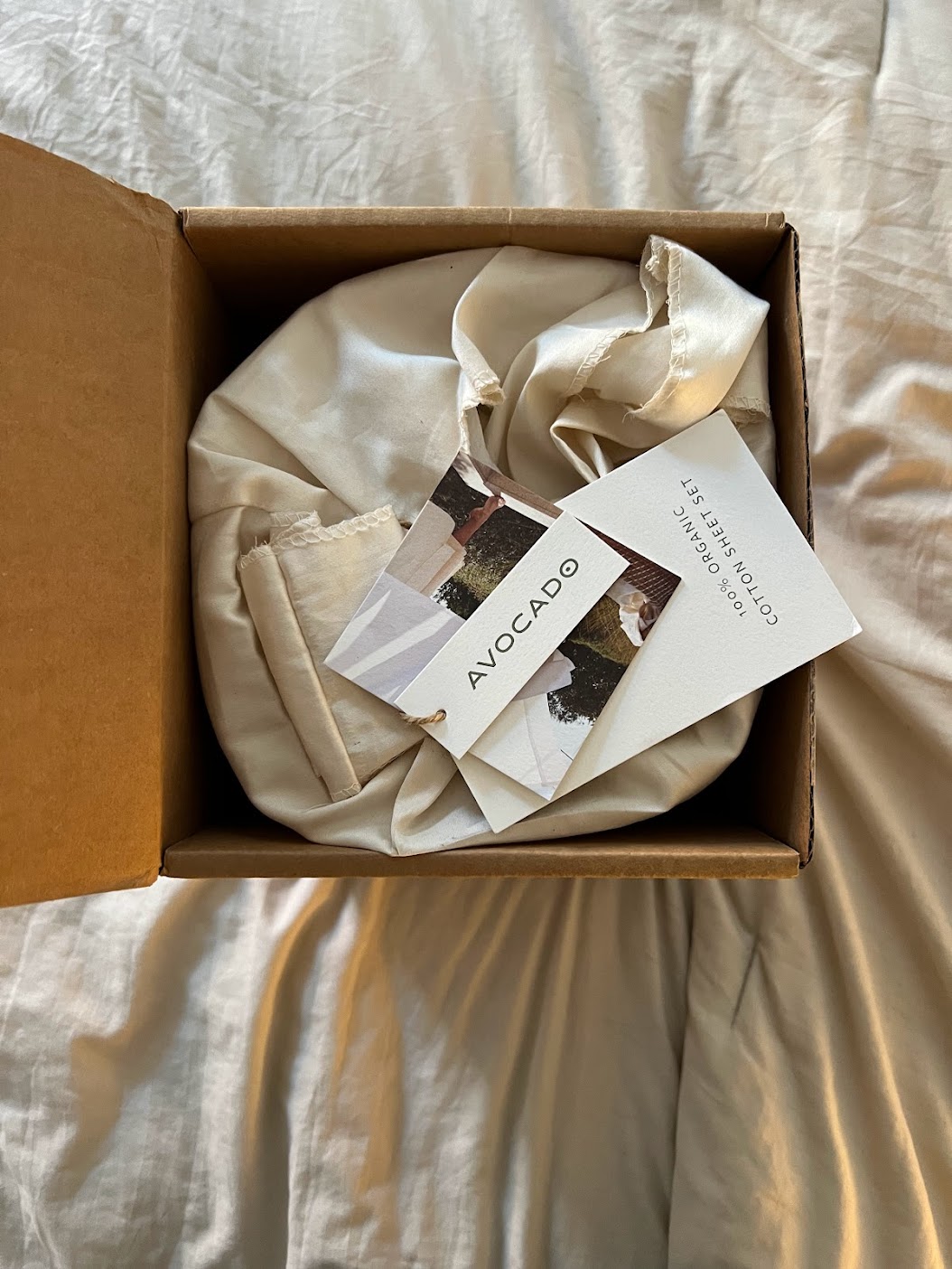 A look at Avocado’s packaging.
