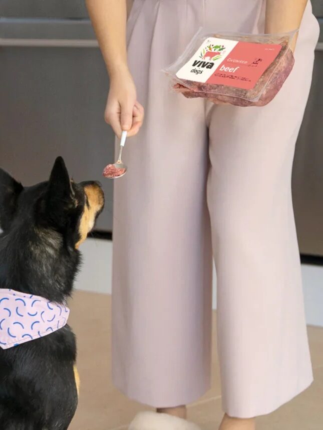 A dog, wearing a bandana, looks up at a person in pink pants who is feeding it a spoonful of meat from a package.
