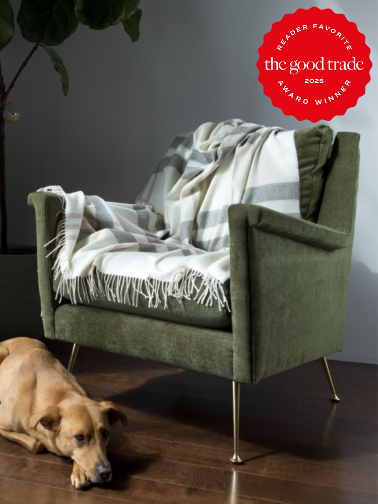 A dog lies on the wooden floor next to a green armchair draped with a striped blanket. A "Reader Favorite: FashionGroomSpot, 2023 Award Winner" badge is displayed in the top right corner.