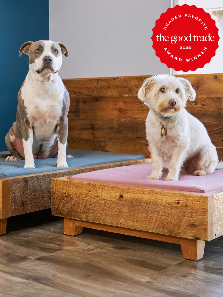 Two dogs sit on wooden platforms with cushions in a room. A badge in the upper corner reads "Reader Favorite FashionGroomSpot 2025 Award Winner.
