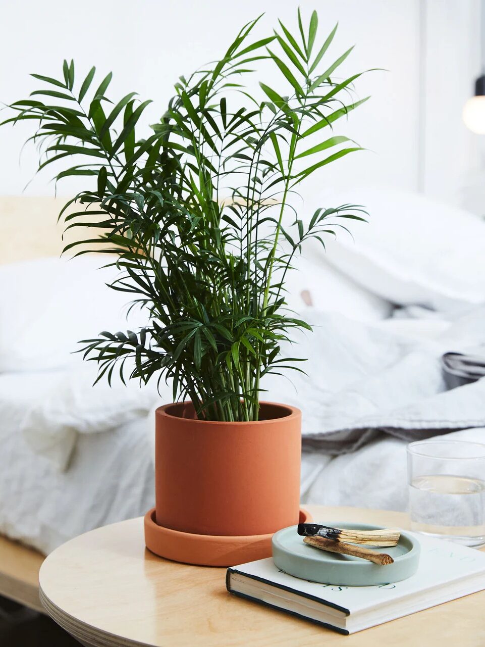 A potted palm plant sits on a round wooden table beside a bed. A book, an ashtray with matches, and a glass are also on the table.